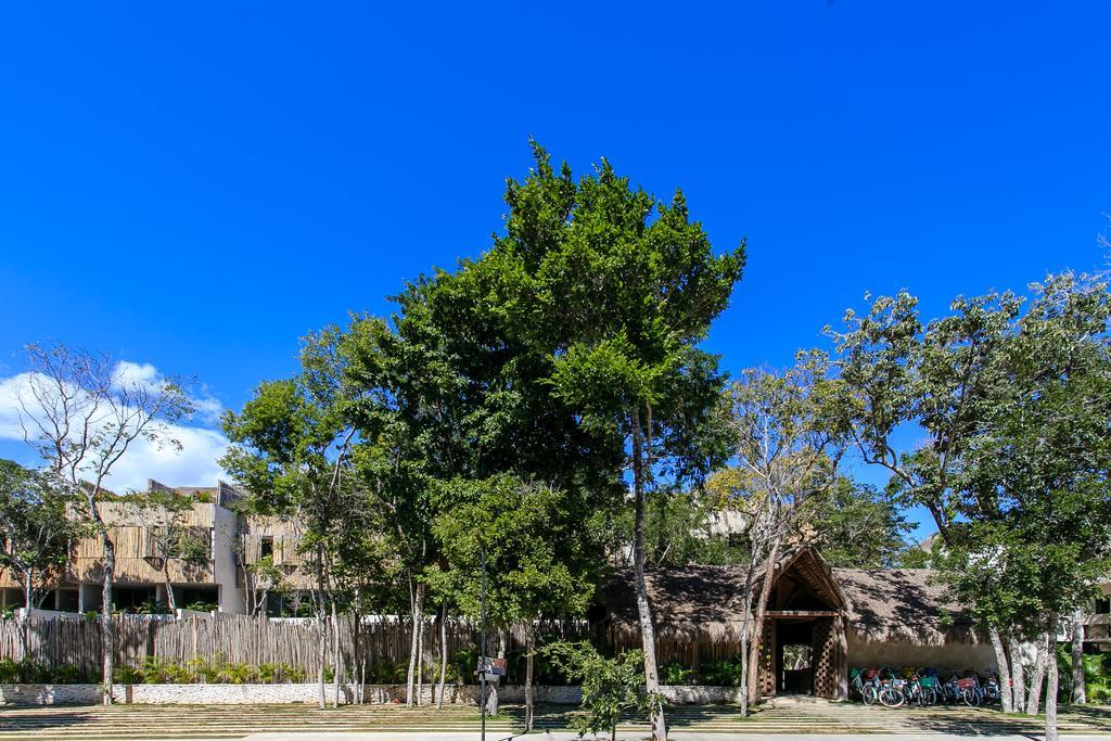Eco-Chic Design Condos Wrapped In Nature'S Elements By Stella Rentals トゥルム エクステリア 写真